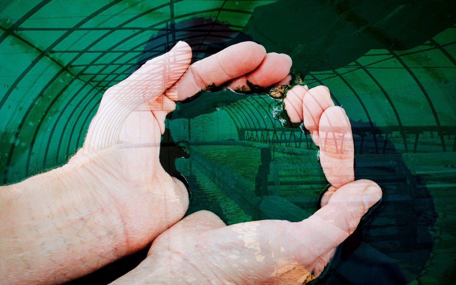 Nous sommes cultivateurs de spiruline à Châteaurenard en Provence.