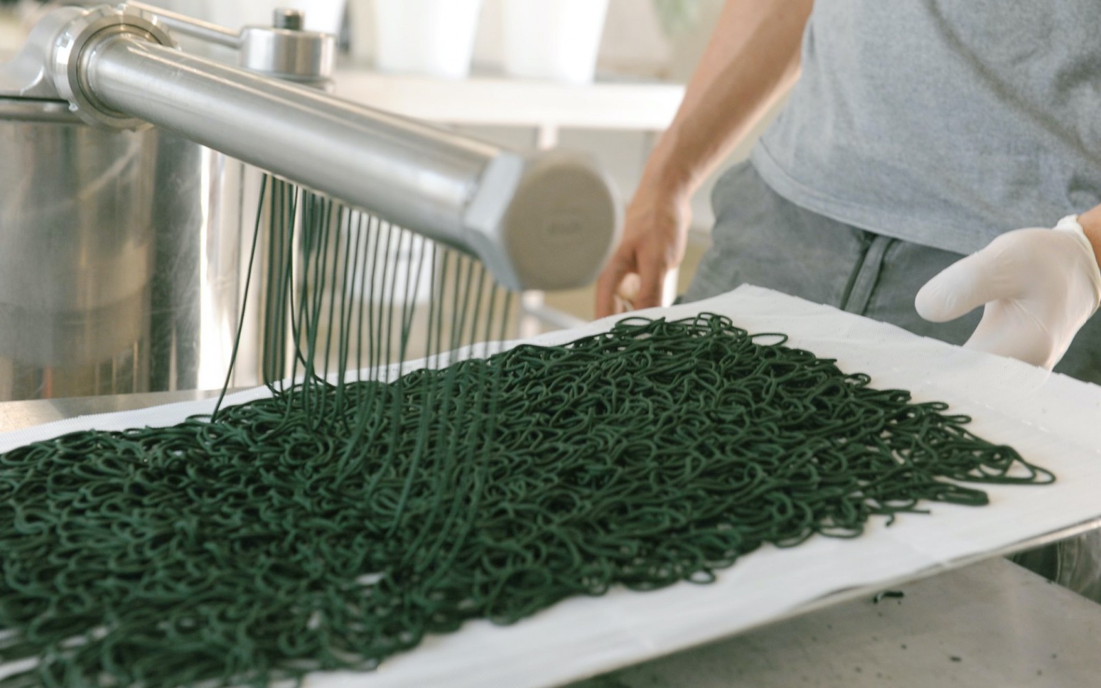 La spiruline filtrée est extrudée comme des spaghettis, avant d'être concassée pour faire des paillettesLa spiruline filtrée est extrudée comme des spaghettis lors du séchage, avant d'être concassée p